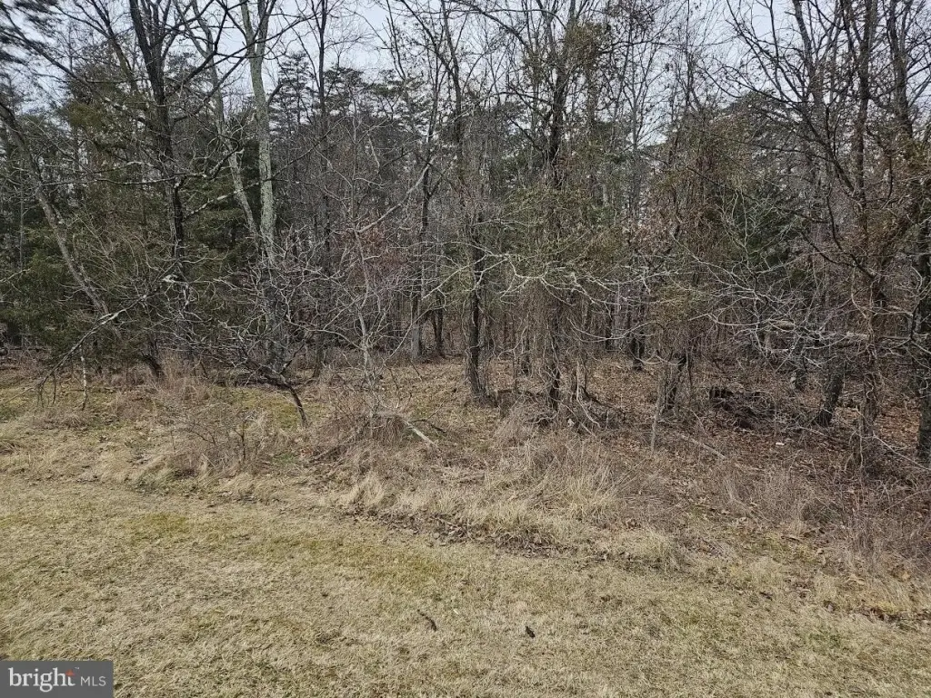 Picture 2