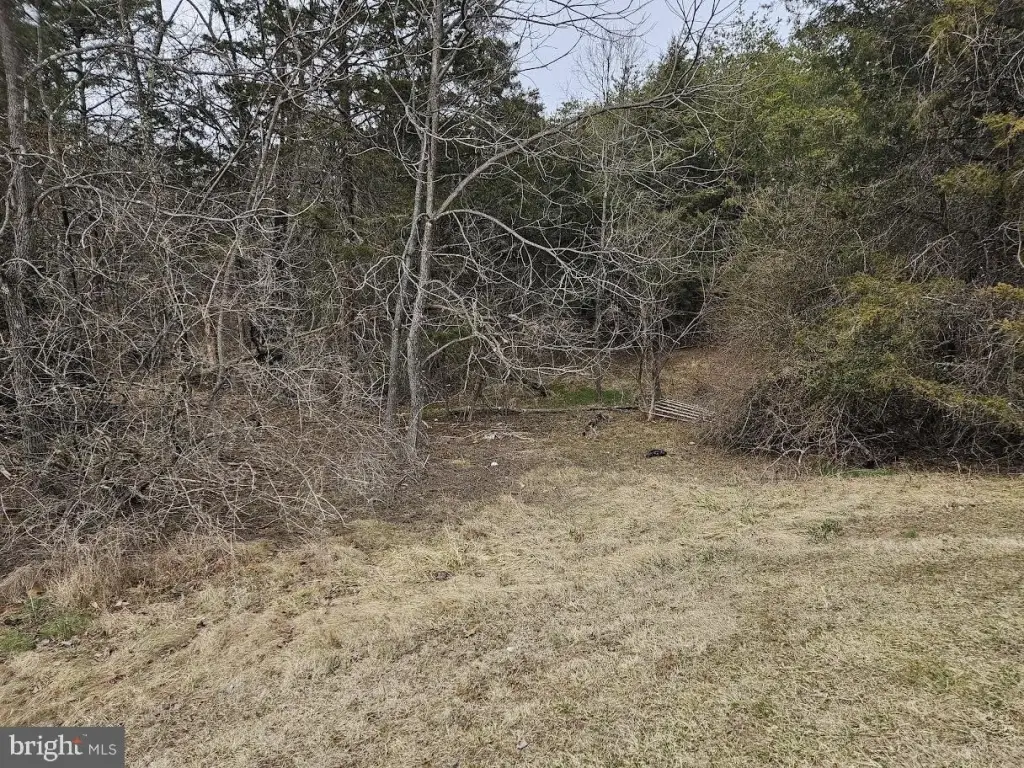 Picture 3