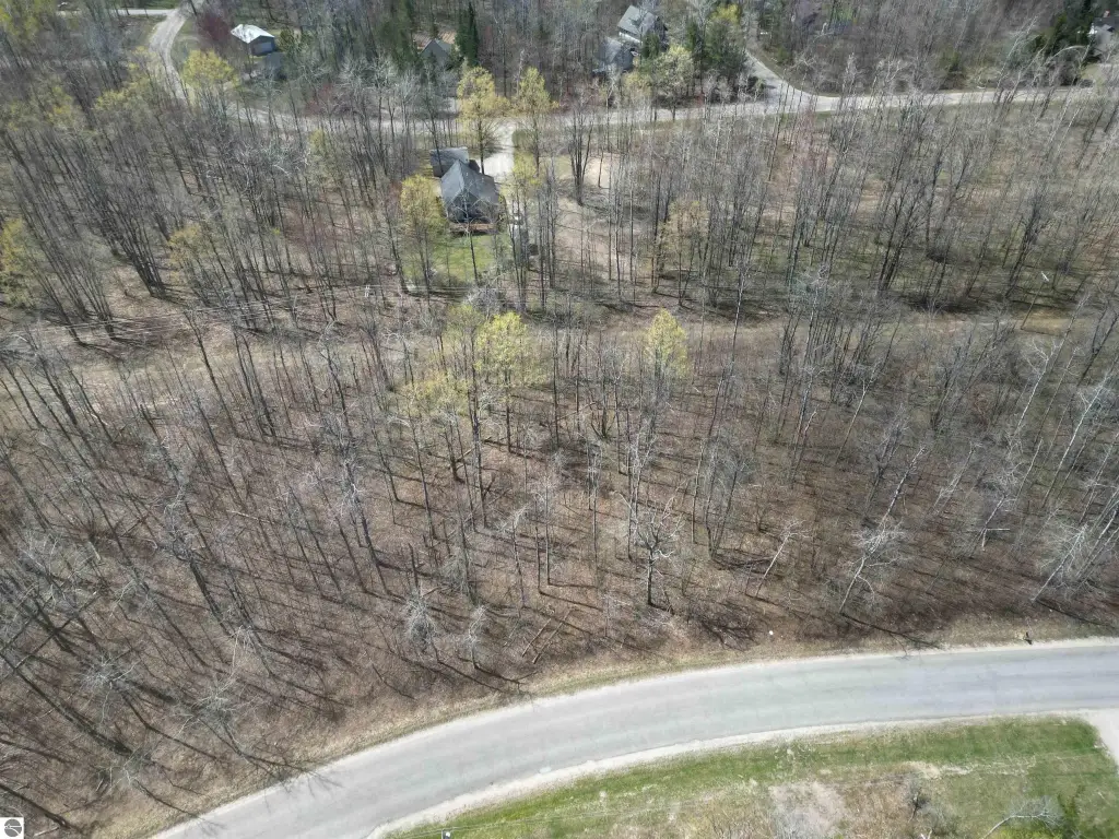 Picture 18