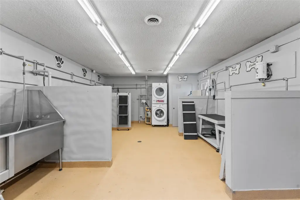 Picture 11