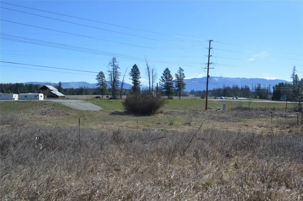 Picture 7