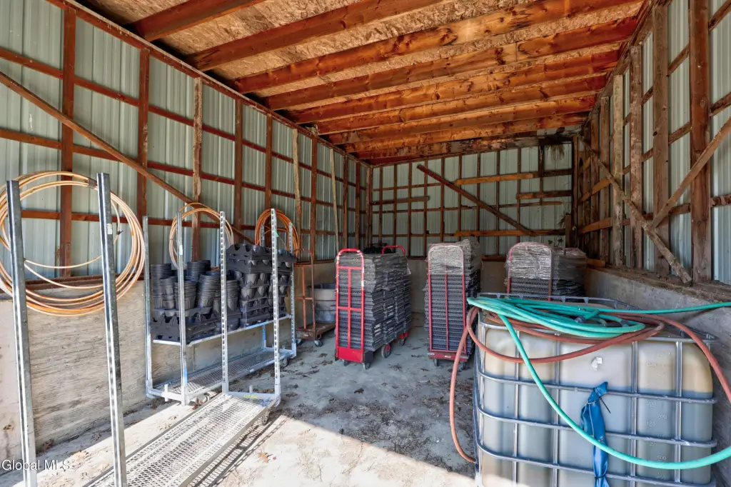 Picture 4