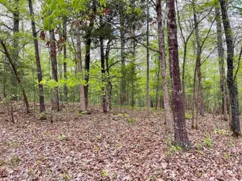 Viola, AR Acreage For Sale