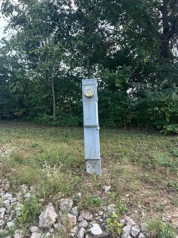 Picture 4