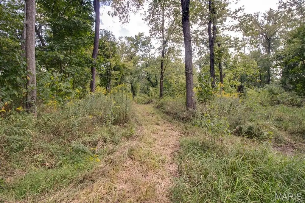 Picture 14
