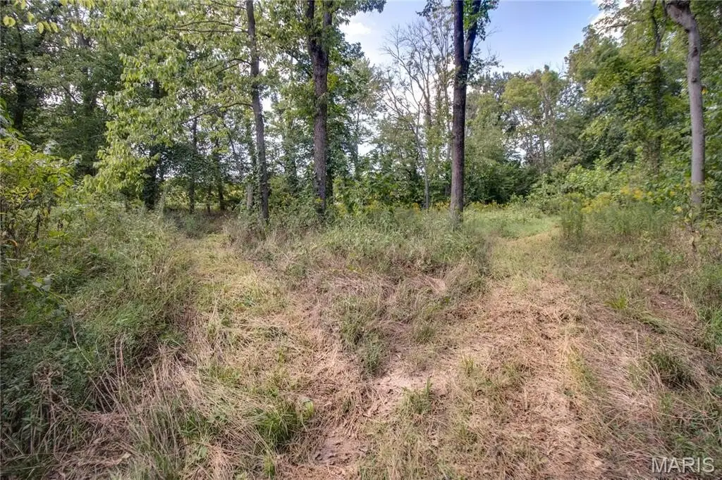 Picture 15