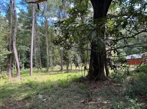 Ravenel Cleared Lot, Ready to Build
