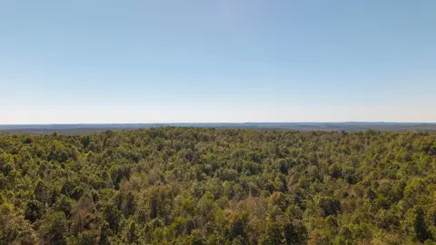 Secluded Ozarks Hunting and Timber Land