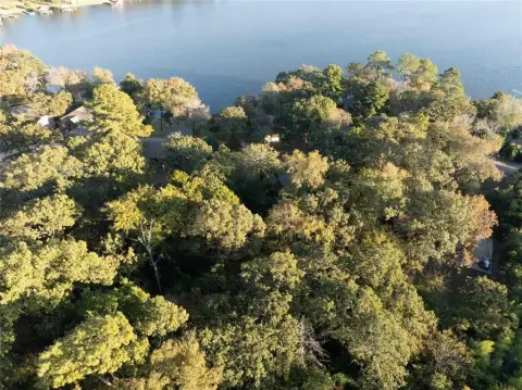 Wooded Lot Near Callender Lake