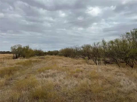 78 Acres Ranch in Seymour, TX