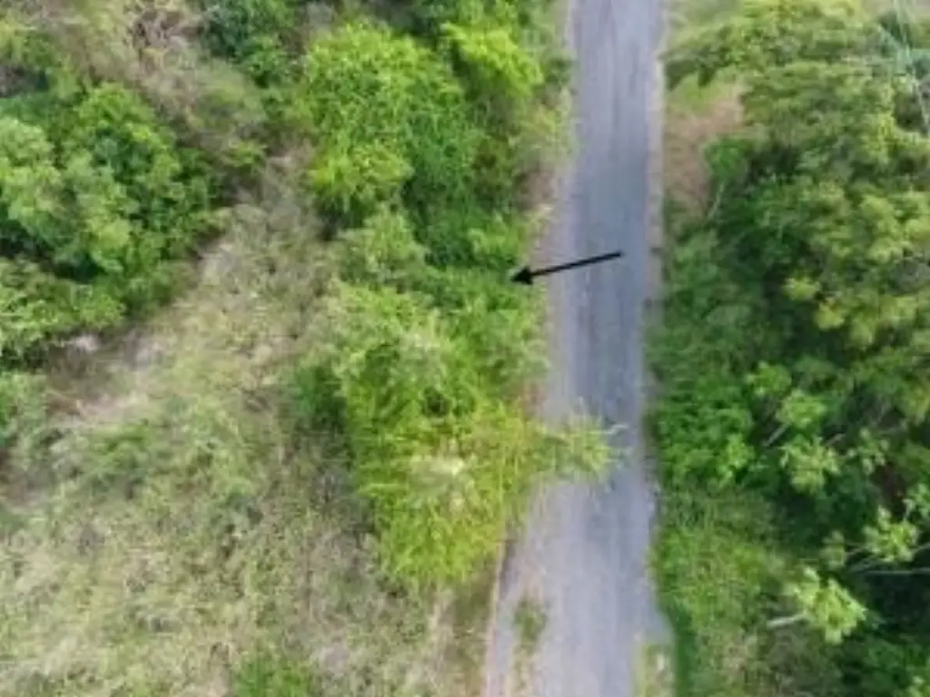 Picture 12