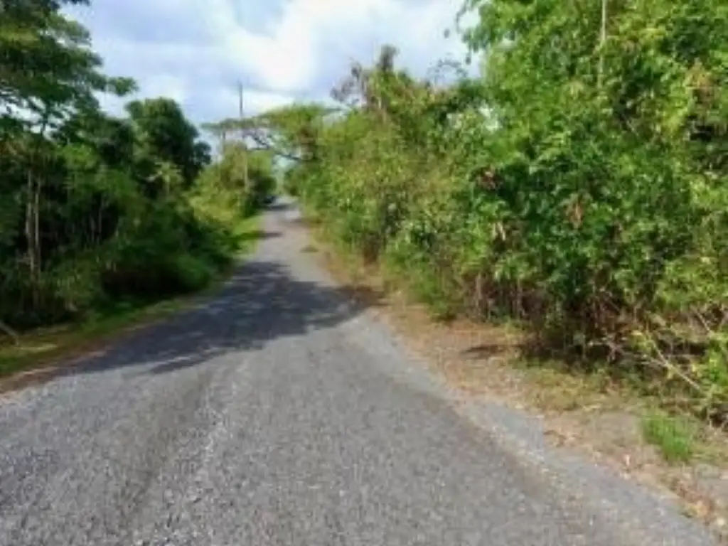 Picture 10