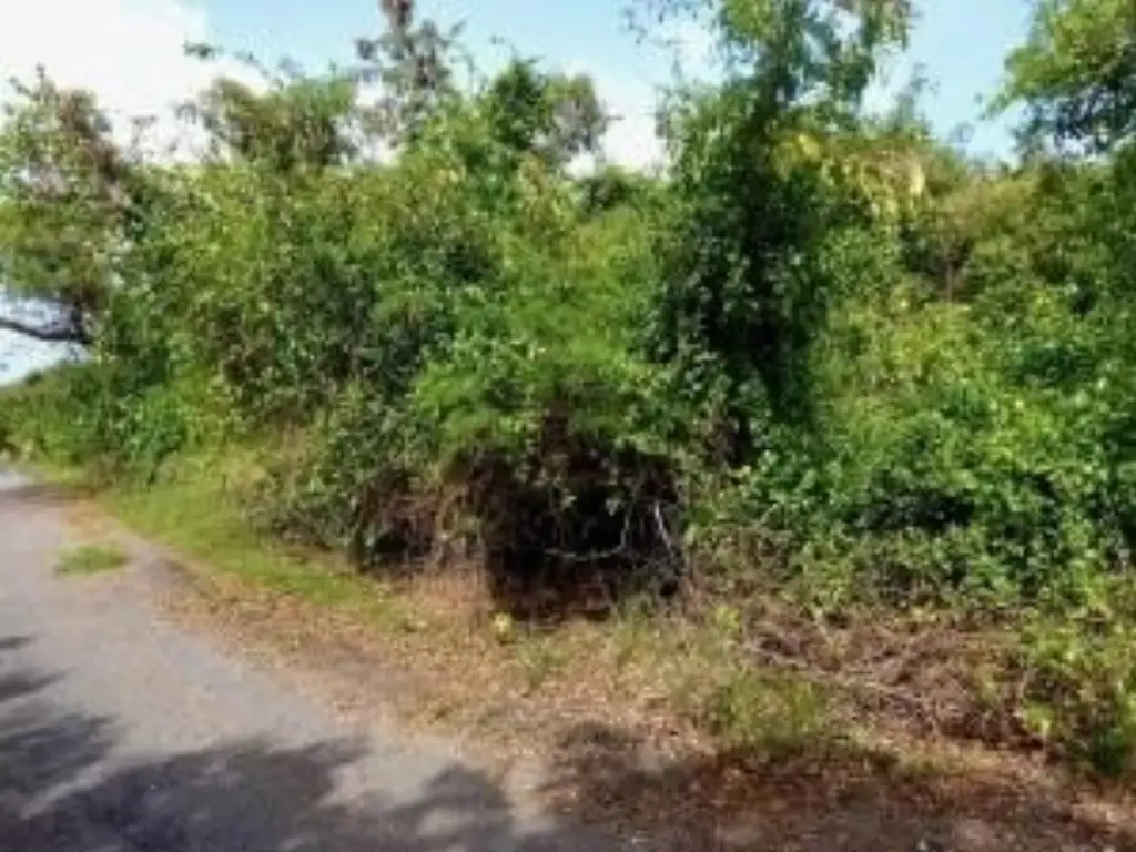 Picture 17