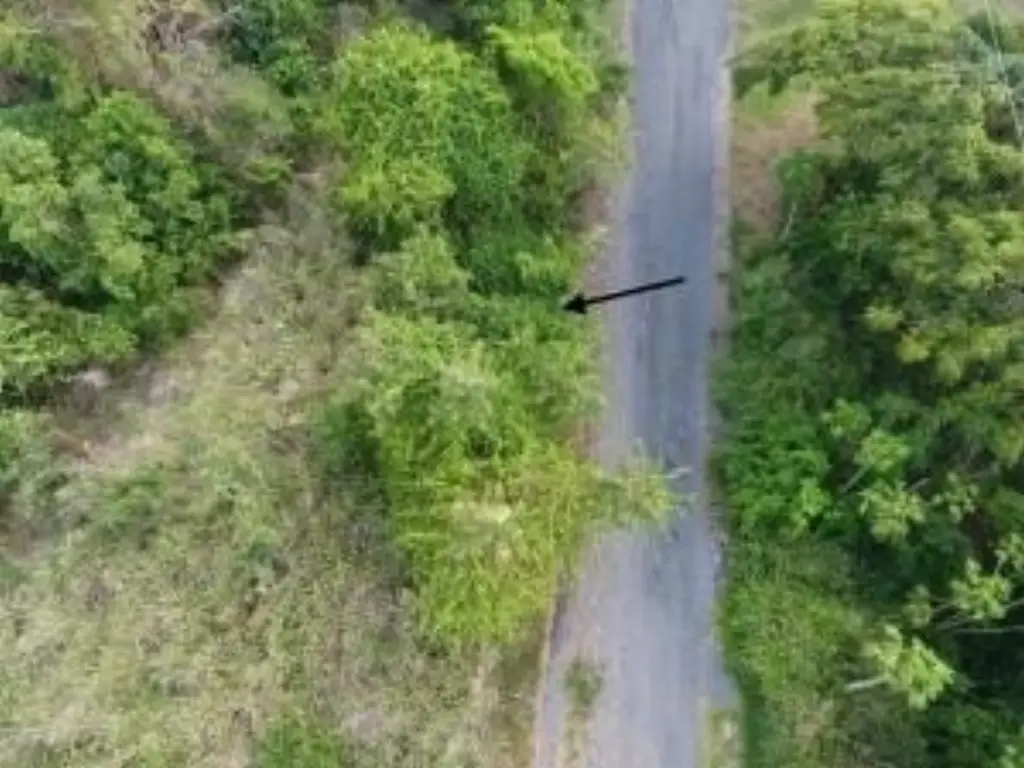 Picture 15