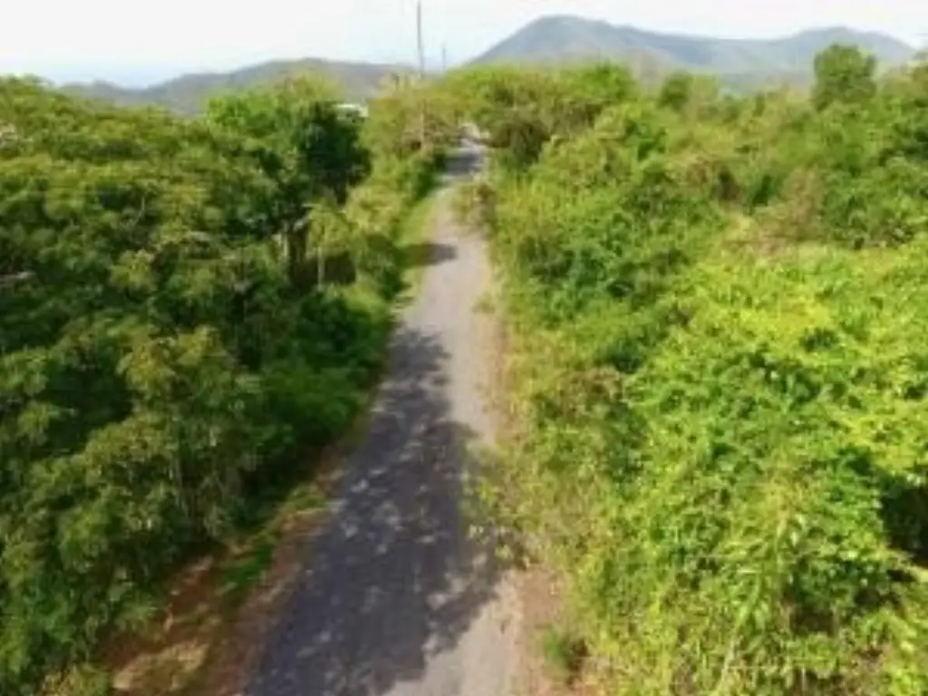 Picture 8