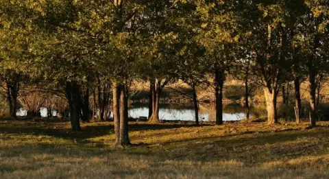 Texas Ranch with Creekside Reserve