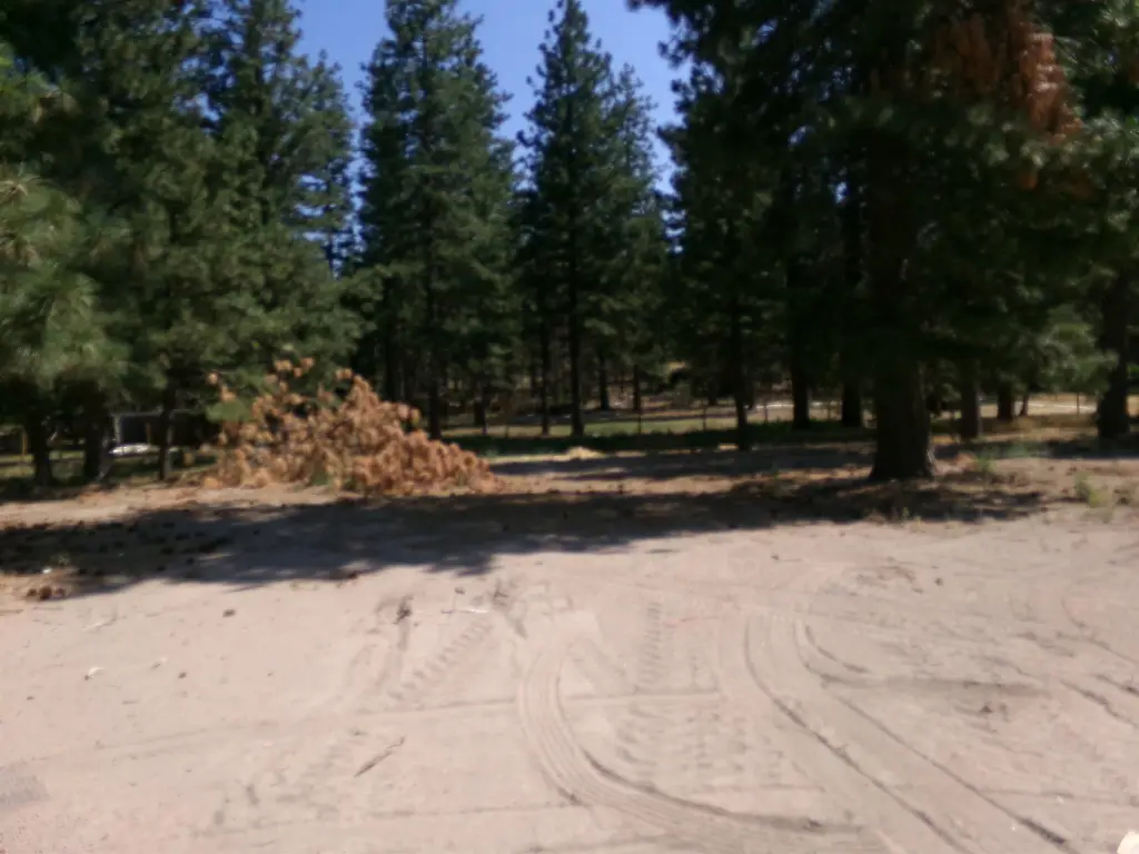 Picture 4