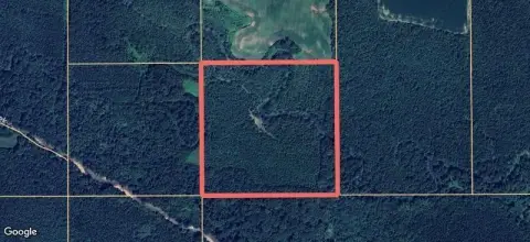 Recreational Land with Hunting Potential