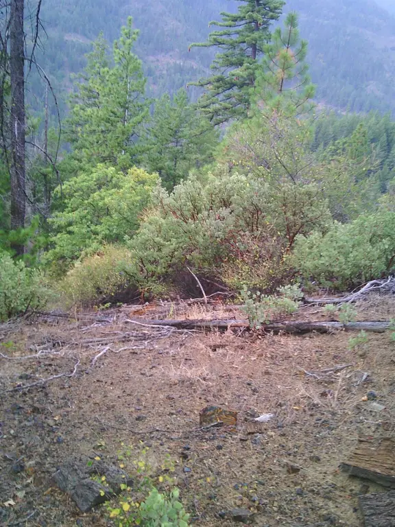 Picture 6