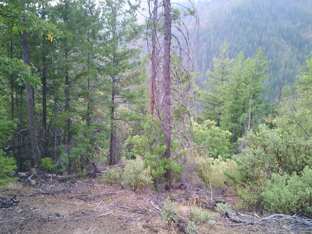 Picture 8