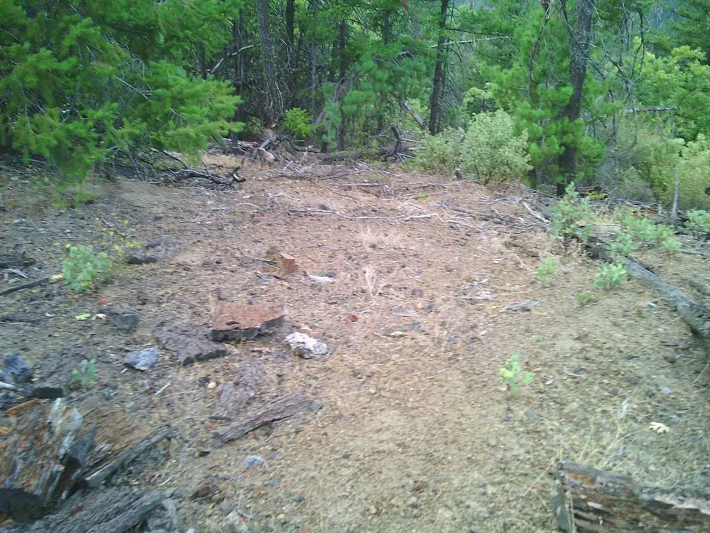 Picture 9