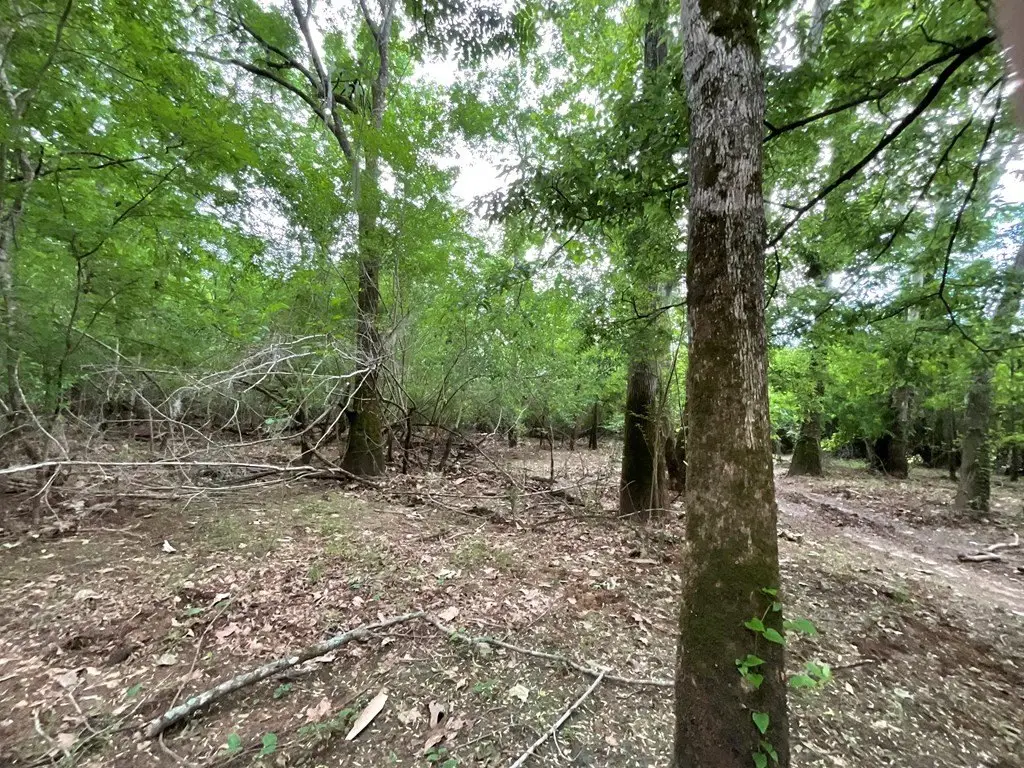 Picture 16