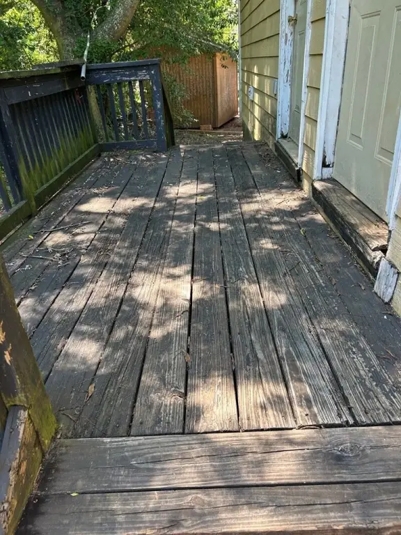 Picture 26