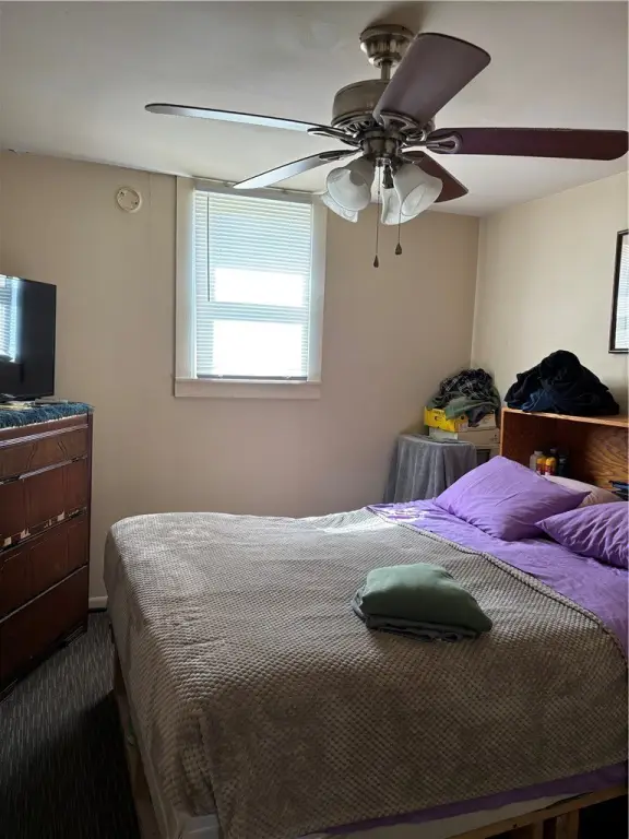 Picture 16