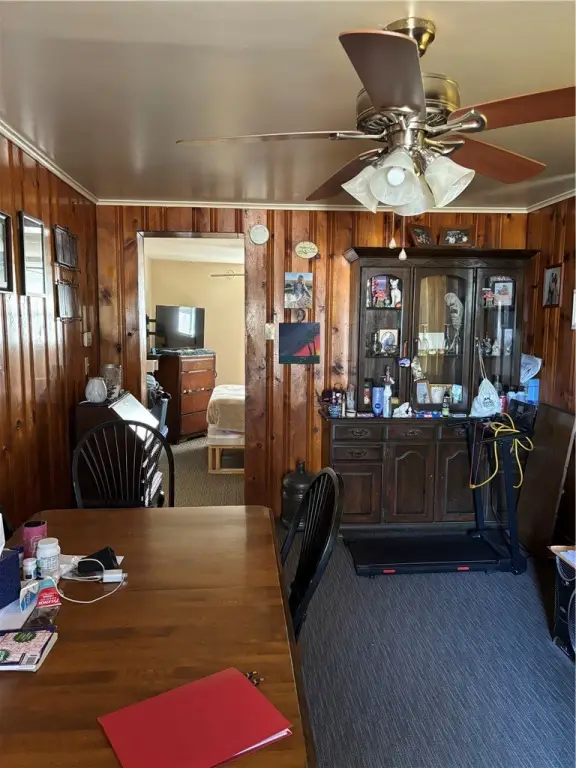 Picture 17