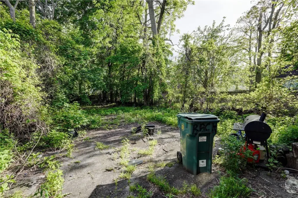Picture 24