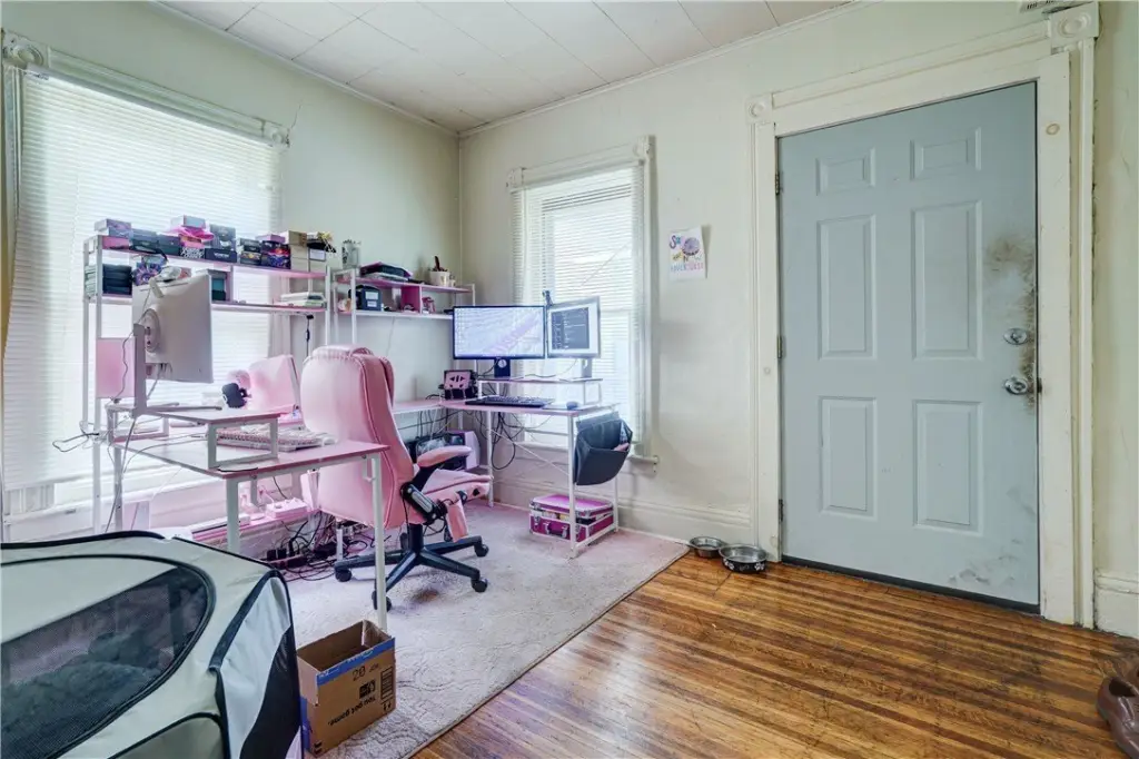 Picture 5