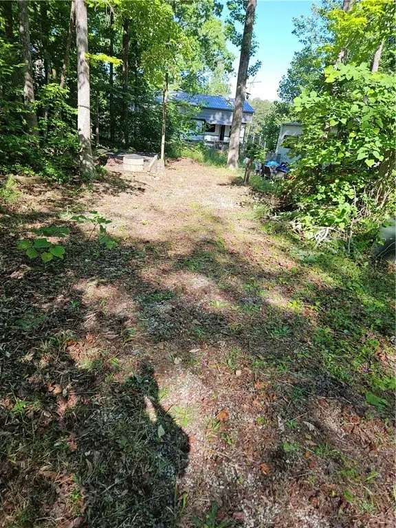 Picture 23
