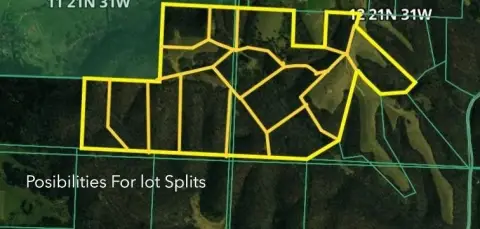 240 Acres of Ozark Land