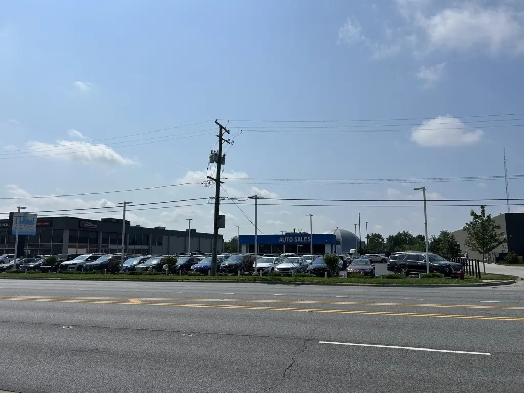 Picture 5