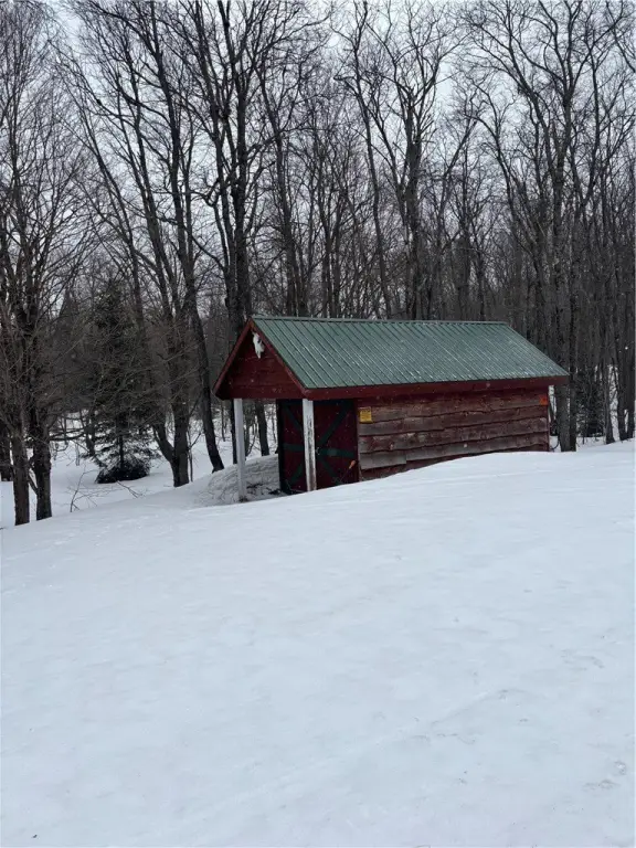 Picture 23