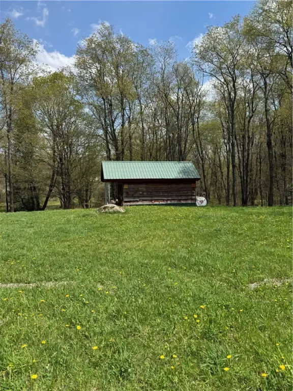 Picture 6