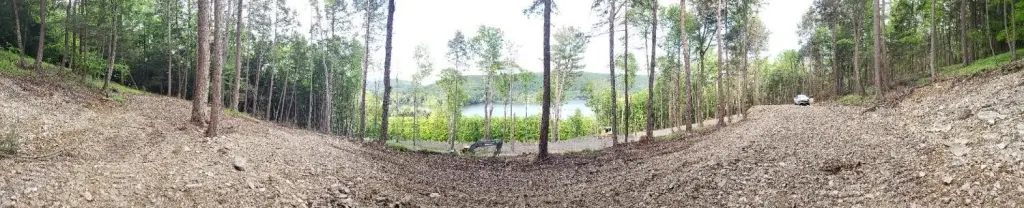 Picture 5