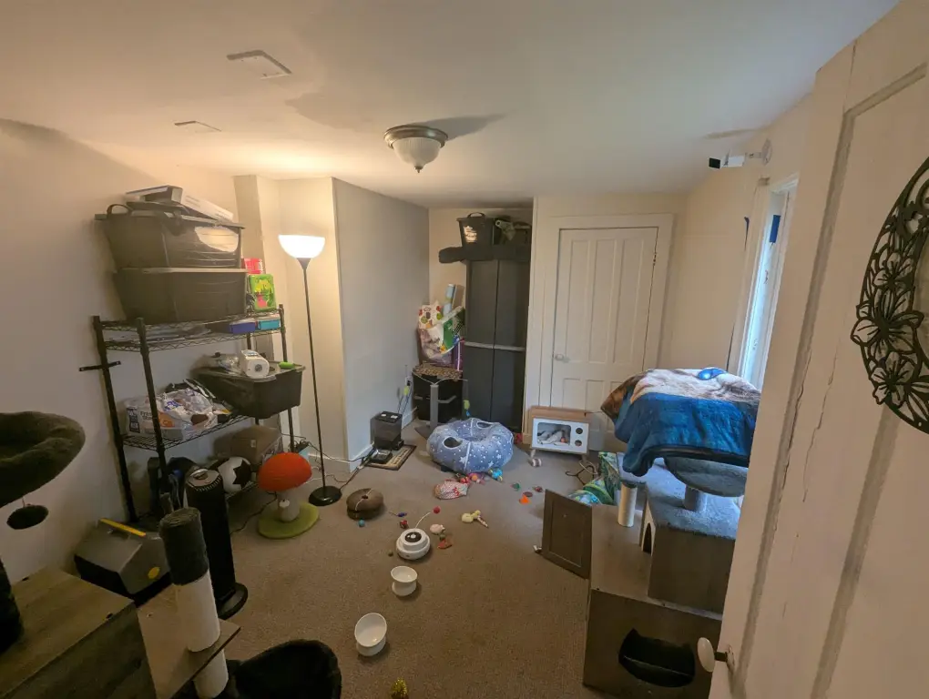 Picture 15