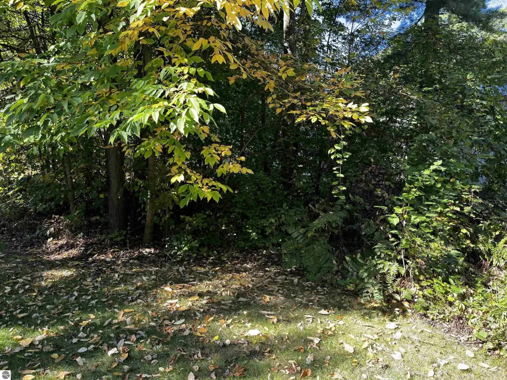 Picture 7
