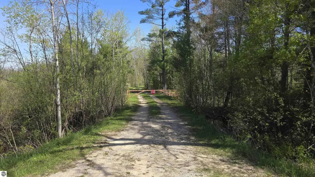 Picture 23