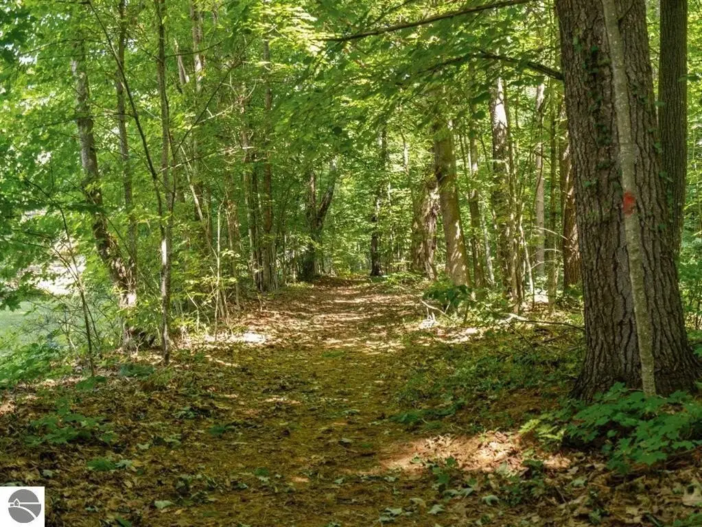 Picture 61