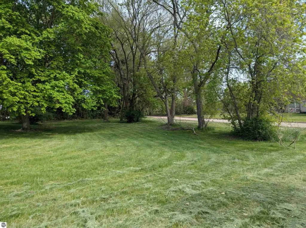 Picture 12