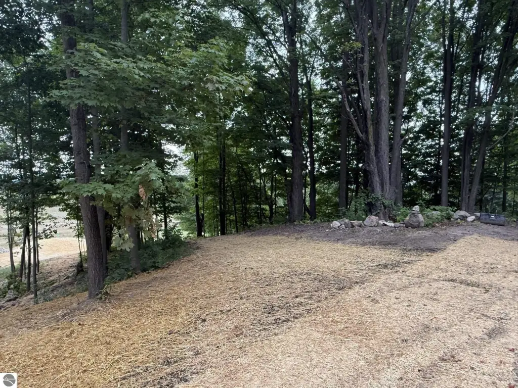 Picture 33