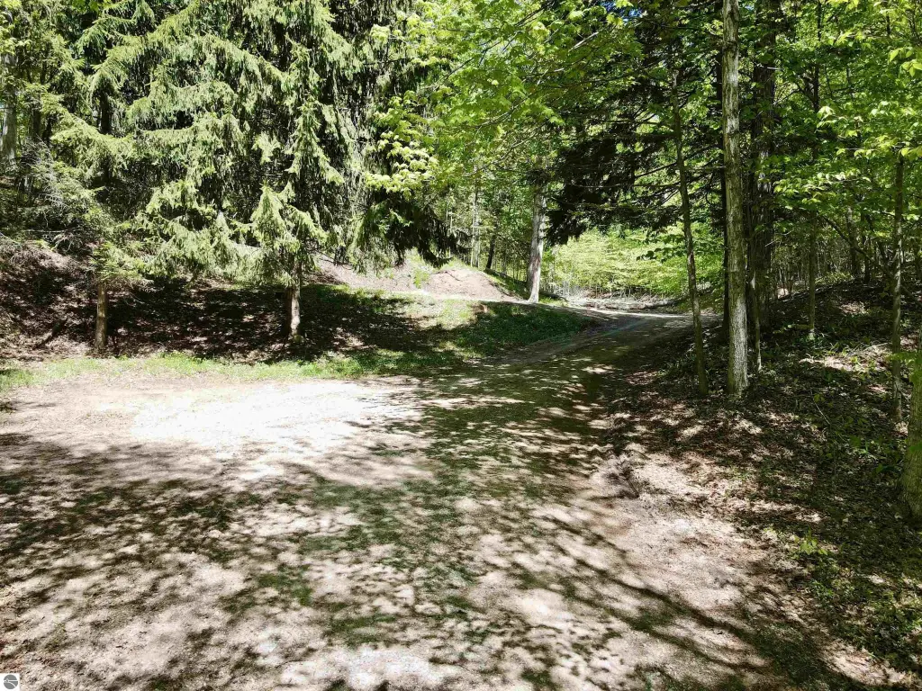 Picture 13