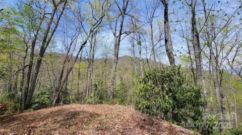 Mountain Retreat Land For Sale