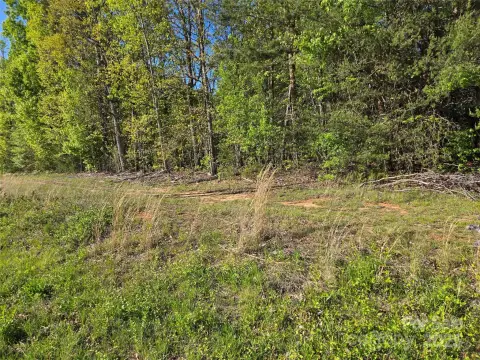 Sherrills Ford Land Opportunity