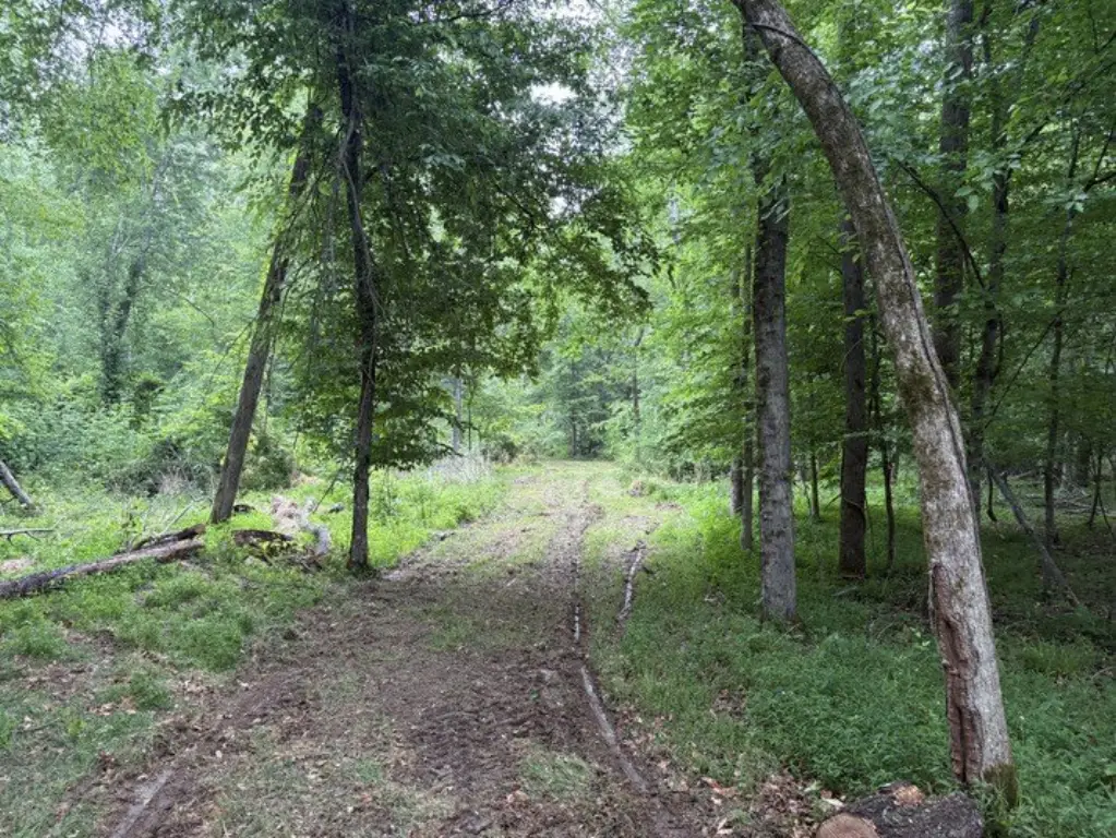Picture 25
