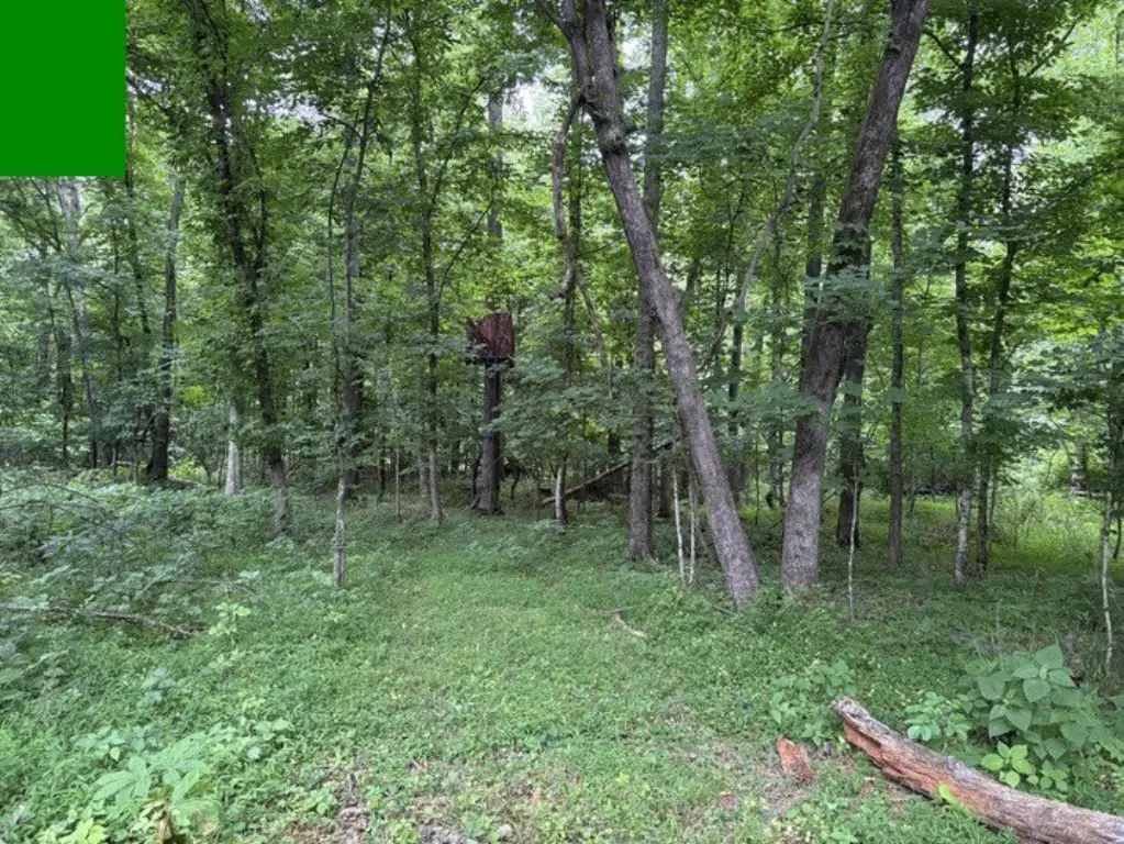 Picture 23