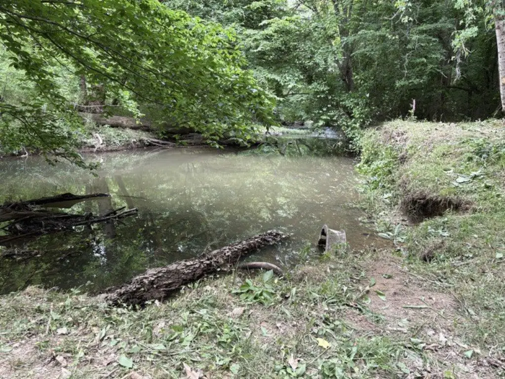 Picture 8