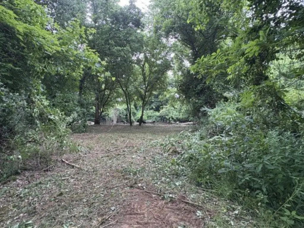 Picture 20